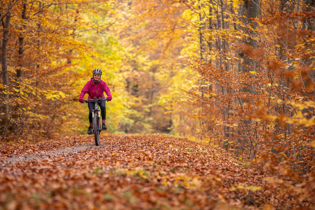 E-Bike im Herbst richtig nutzen: Tipps für Pflege, Check und Fahrspaß