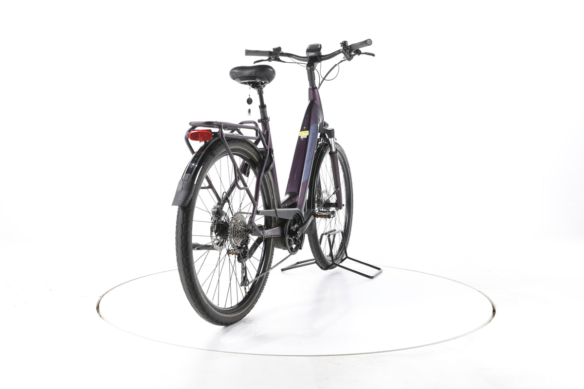 Pegasus Solero EVO 9 Trekking E-Bike Tiefeinsteiger - Image 11