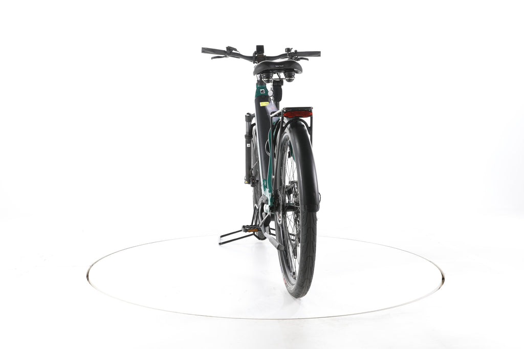 ADVANCED Trekking Pro Trekking E-Bike Tiefeinsteiger - Image 10