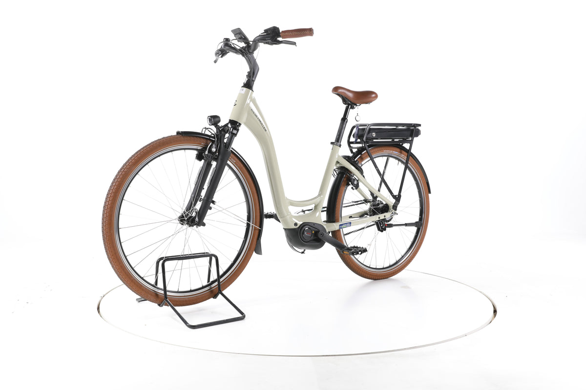 Riese & Müller Swing silent City E-Bike Tiefeinsteiger 2025 - Image 6