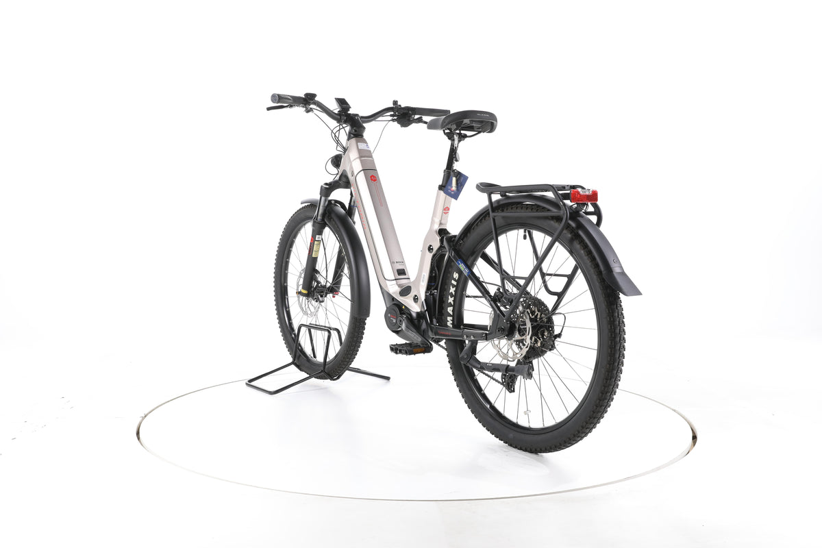 Victoria eParcours 12.8 SUV E-Bike Tiefeinsteiger - Image 9