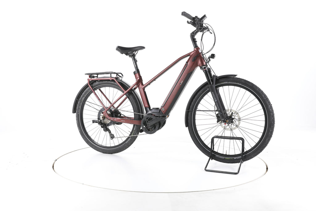 EBIKE 13ZEHN Trekking E-Bike - Image 2