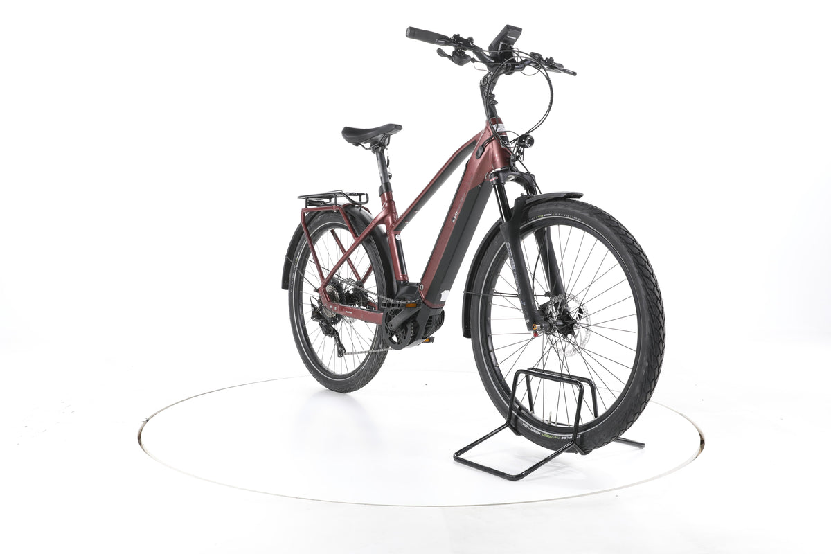 EBIKE 13ZEHN Trekking E-Bike - Image 3
