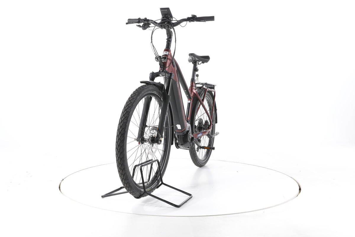 EBIKE 13ZEHN Trekking E-Bike - Image 5