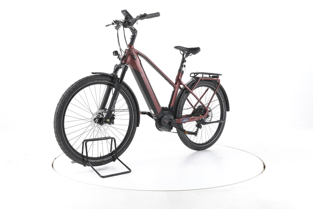 EBIKE 13ZEHN Trekking E-Bike - Image 6