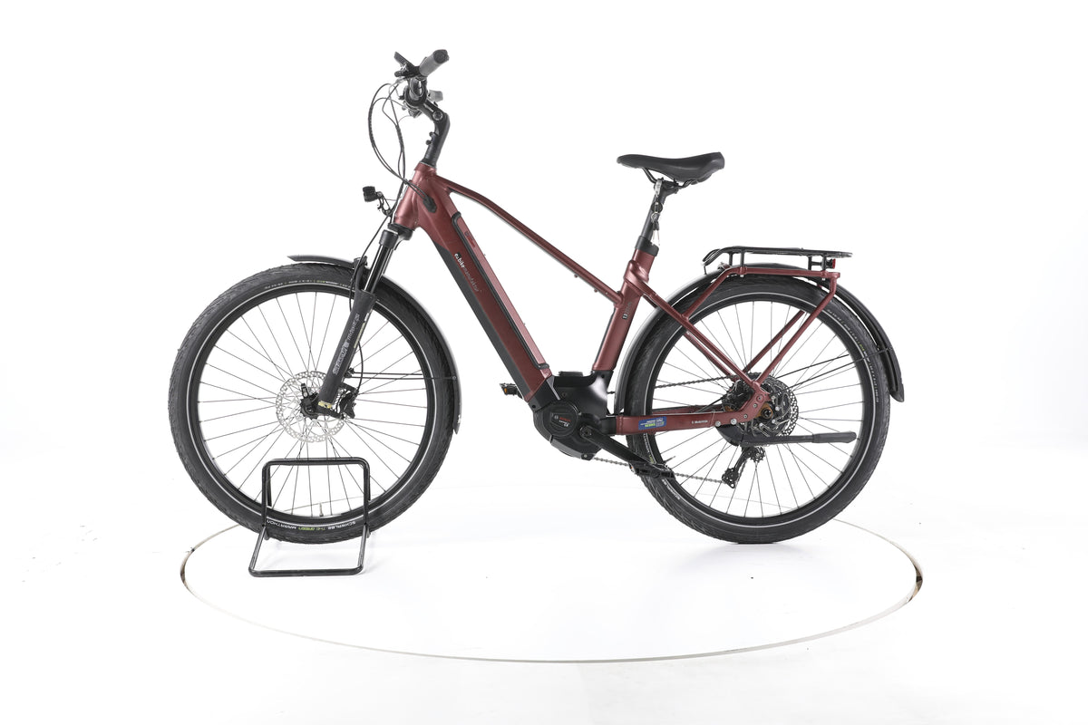 EBIKE 13ZEHN Trekking E-Bike - Image 7