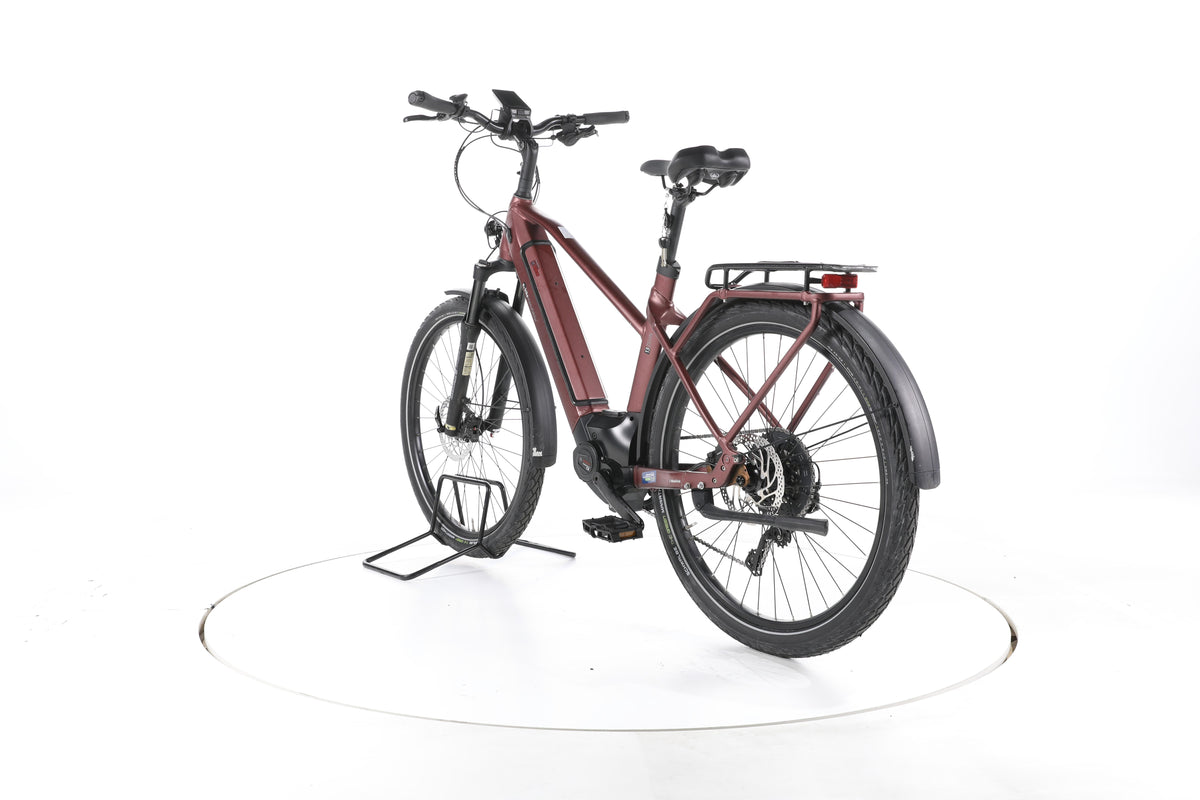 EBIKE 13ZEHN Trekking E-Bike - Image 9