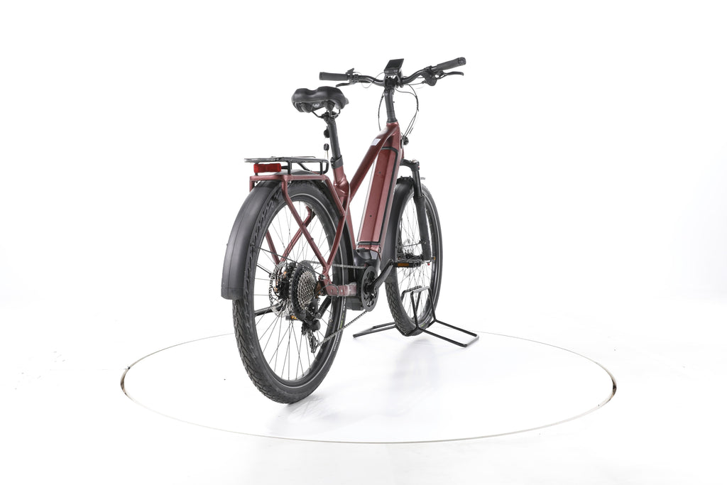 EBIKE 13ZEHN Trekking E-Bike - Image 11