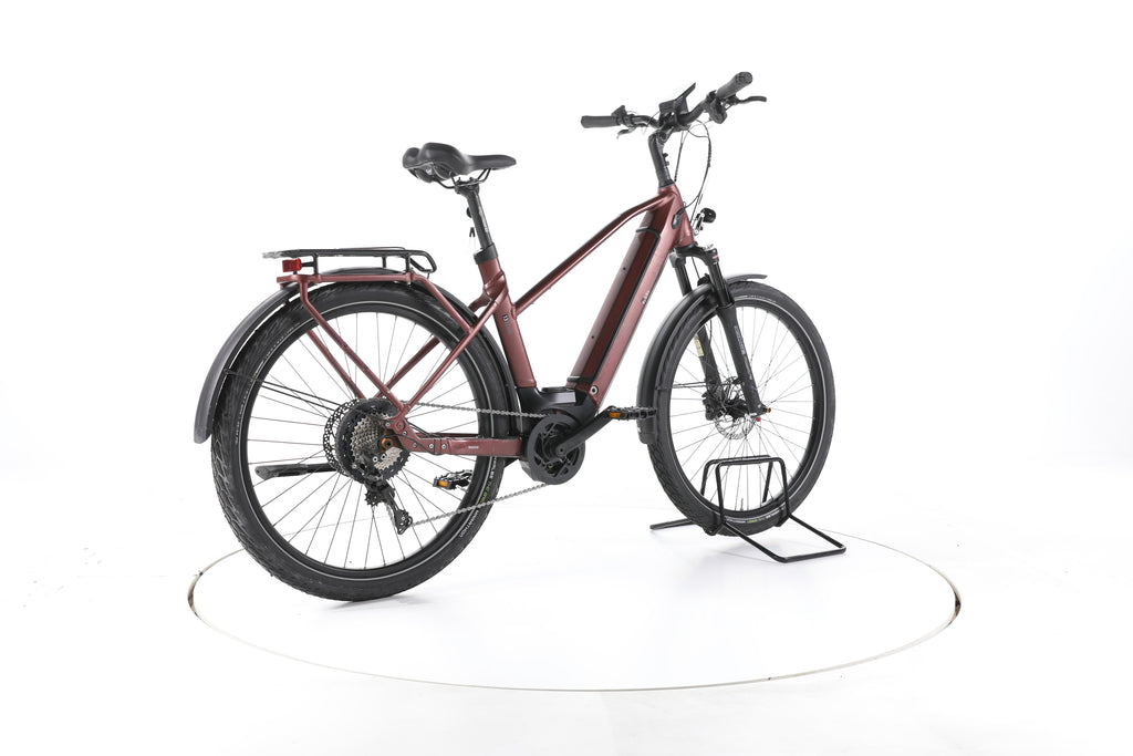 EBIKE 13ZEHN Trekking E-Bike - Image 12