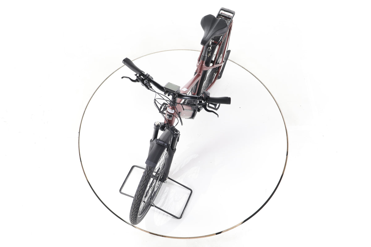 EBIKE 13ZEHN Trekking E-Bike - Image 17