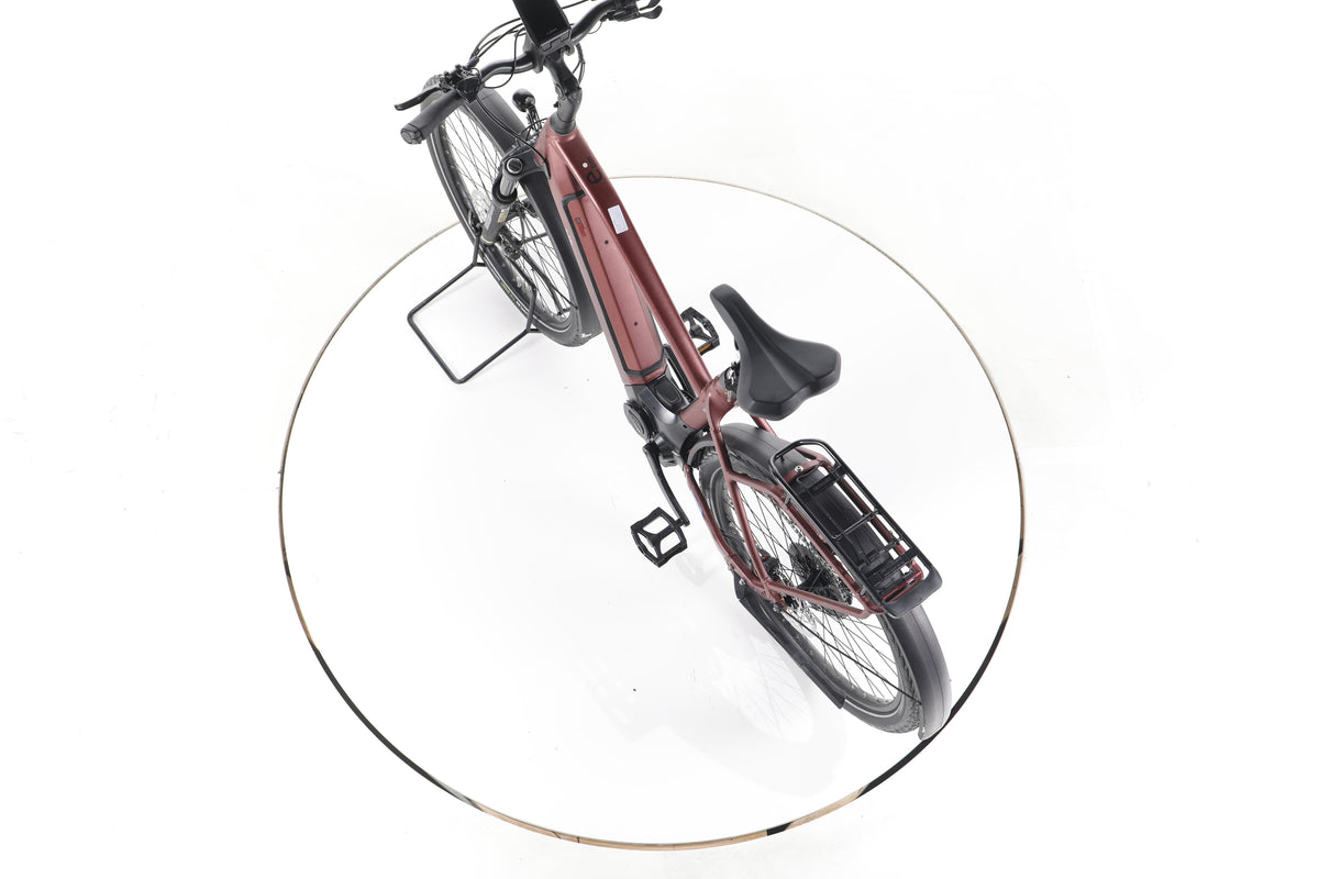 EBIKE 13ZEHN Trekking E-Bike - Image 21