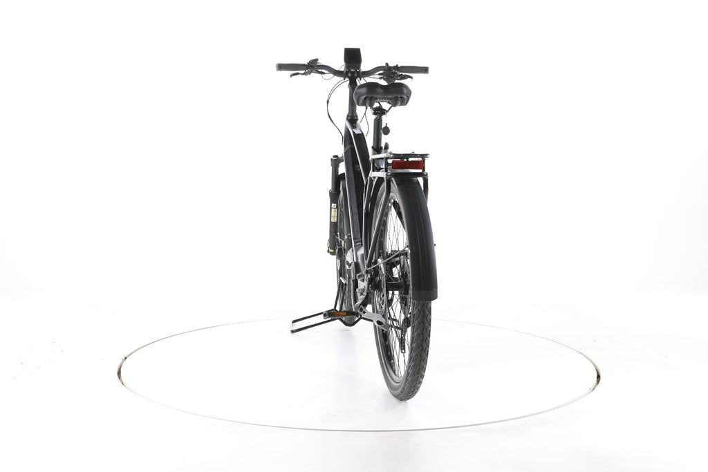 EBIKE 13ZEHN Trekking E-Bike - Image 10