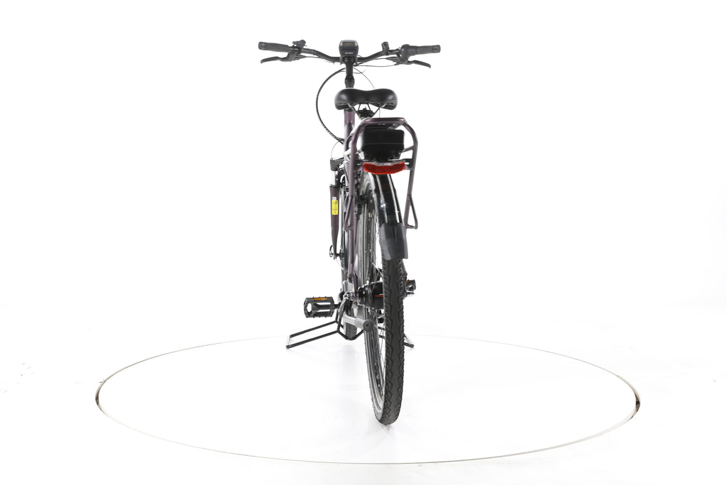 Pegasus Solero E8R City E-Bike Tiefeinsteiger - Image 10