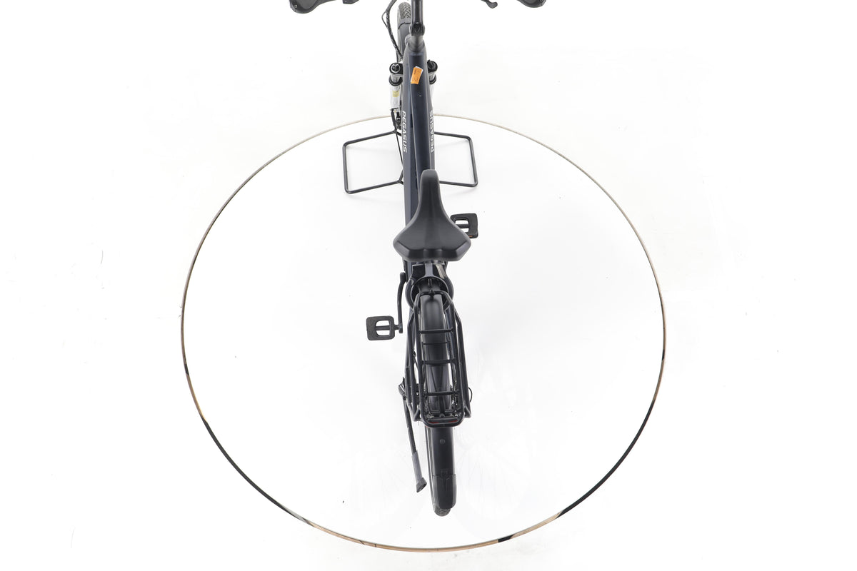 Pegasus Premio Evo 10 Lite Trekking E-Bike - Image 22
