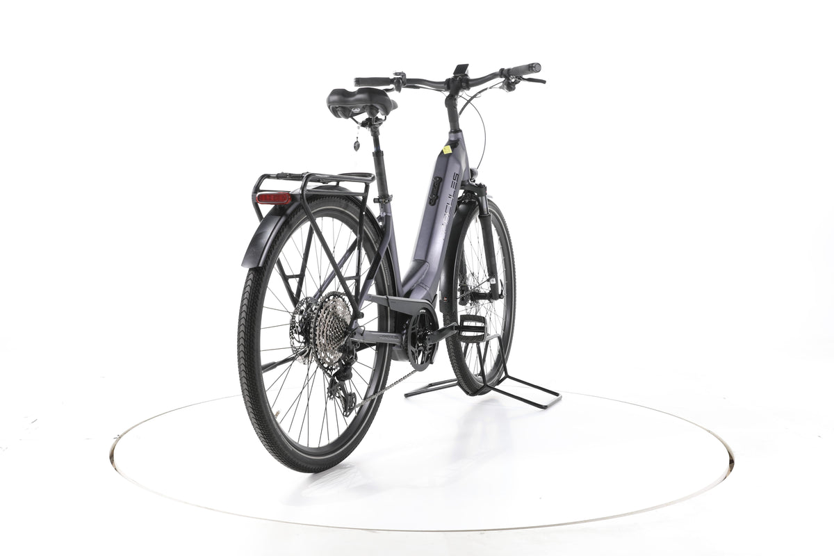 Hercules Pasero Pro I-12 Trekking E-Bike Tiefeinsteiger - Image 11