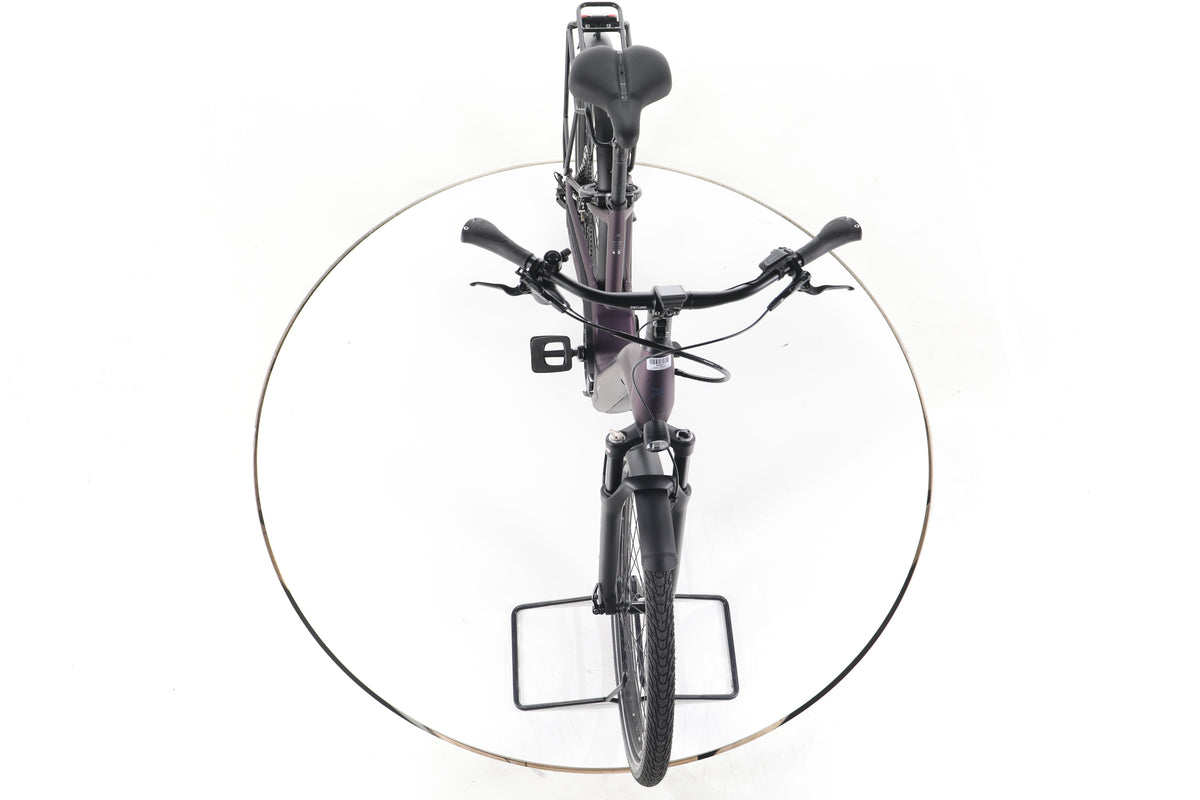 Pegasus Premio EVO 11 Lite Trekking E-Bike Tiefeinsteiger - Image 16