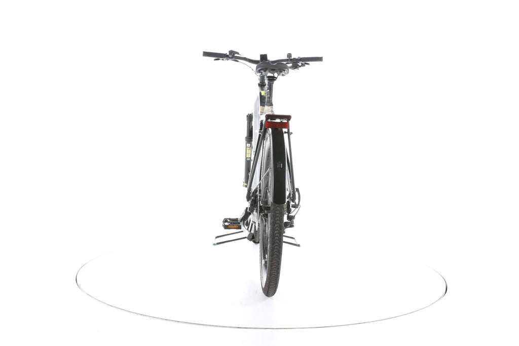 Rose Mayor+ Trekking E-Bike - Image 10