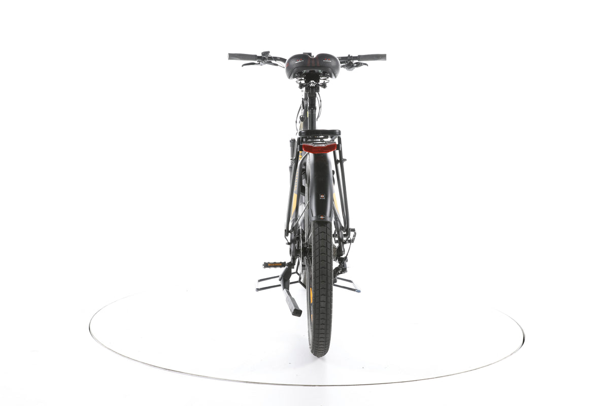 Haibike Trekking 10 Trekking E-Bike Tiefeinsteiger - Image 10