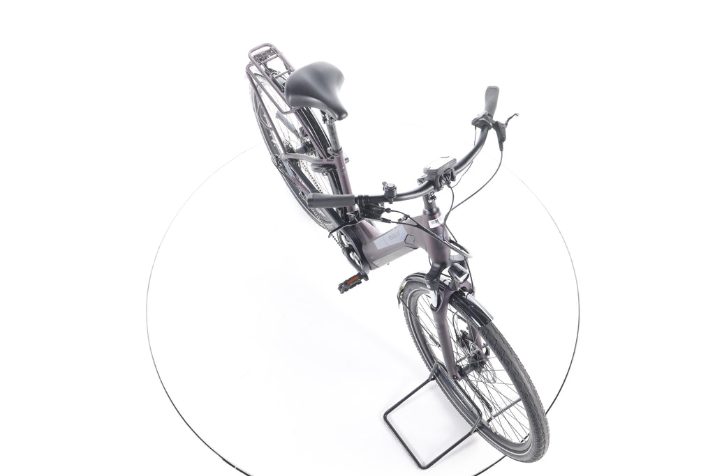 Pegasus Solero EVO 9 Trekking E-Bike Tiefeinsteiger - Image 15