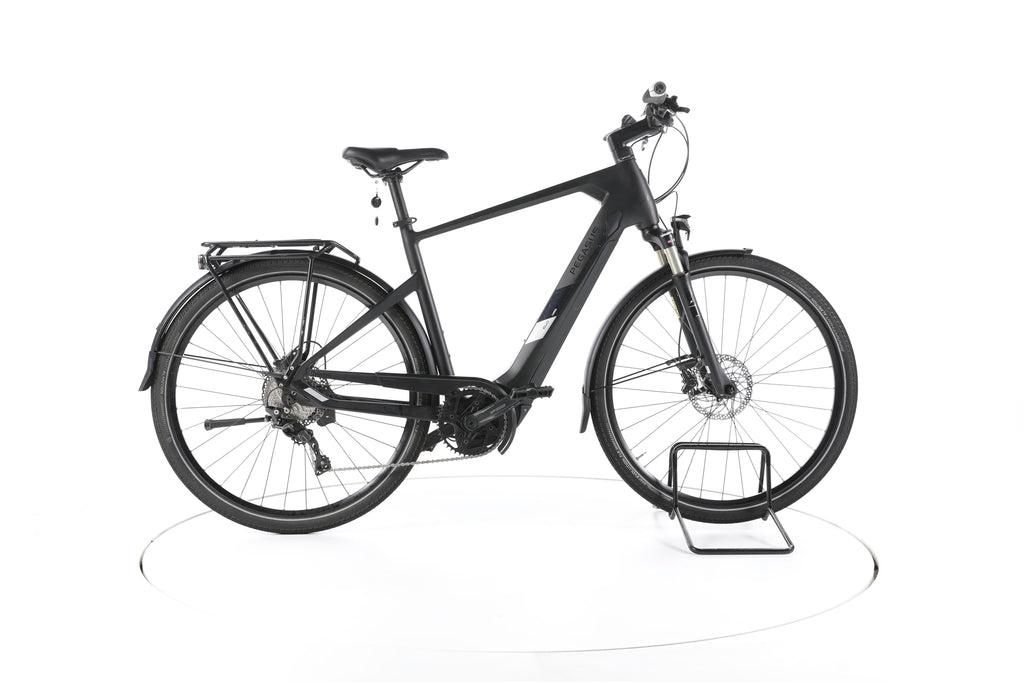 Pegasus Enovo EVO 10 Trekking E-Bike Carbon - Image 1