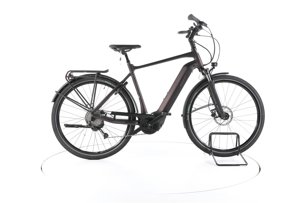 Giant DailyTour E+ 3 Trekking E-Bike - Image 1