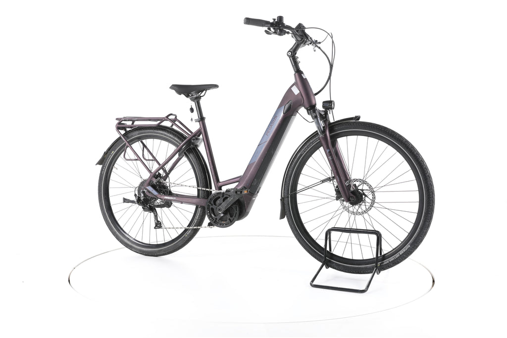Pegasus Solero Evo 9 Trekking E-Bike Tiefeinsteiger - Image 2