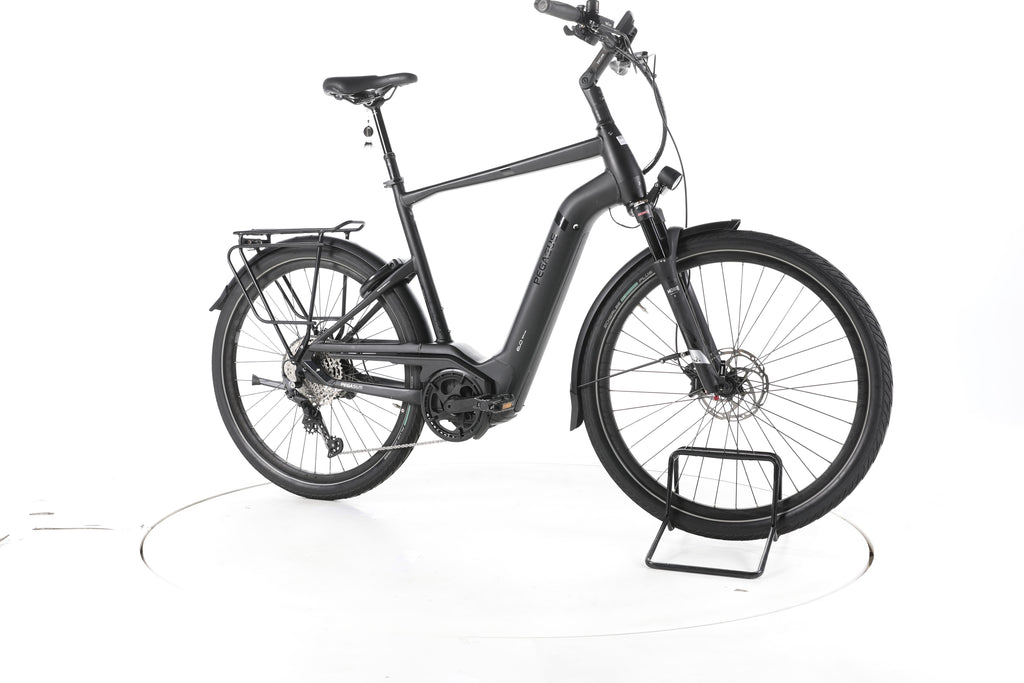 Pegasus Strong EVO 12 Lite Trekking E-Bike - Image 2