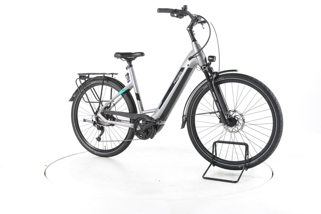 Pegasus EVO CX Trekking E-Bike Tiefeinsteiger - Image 2