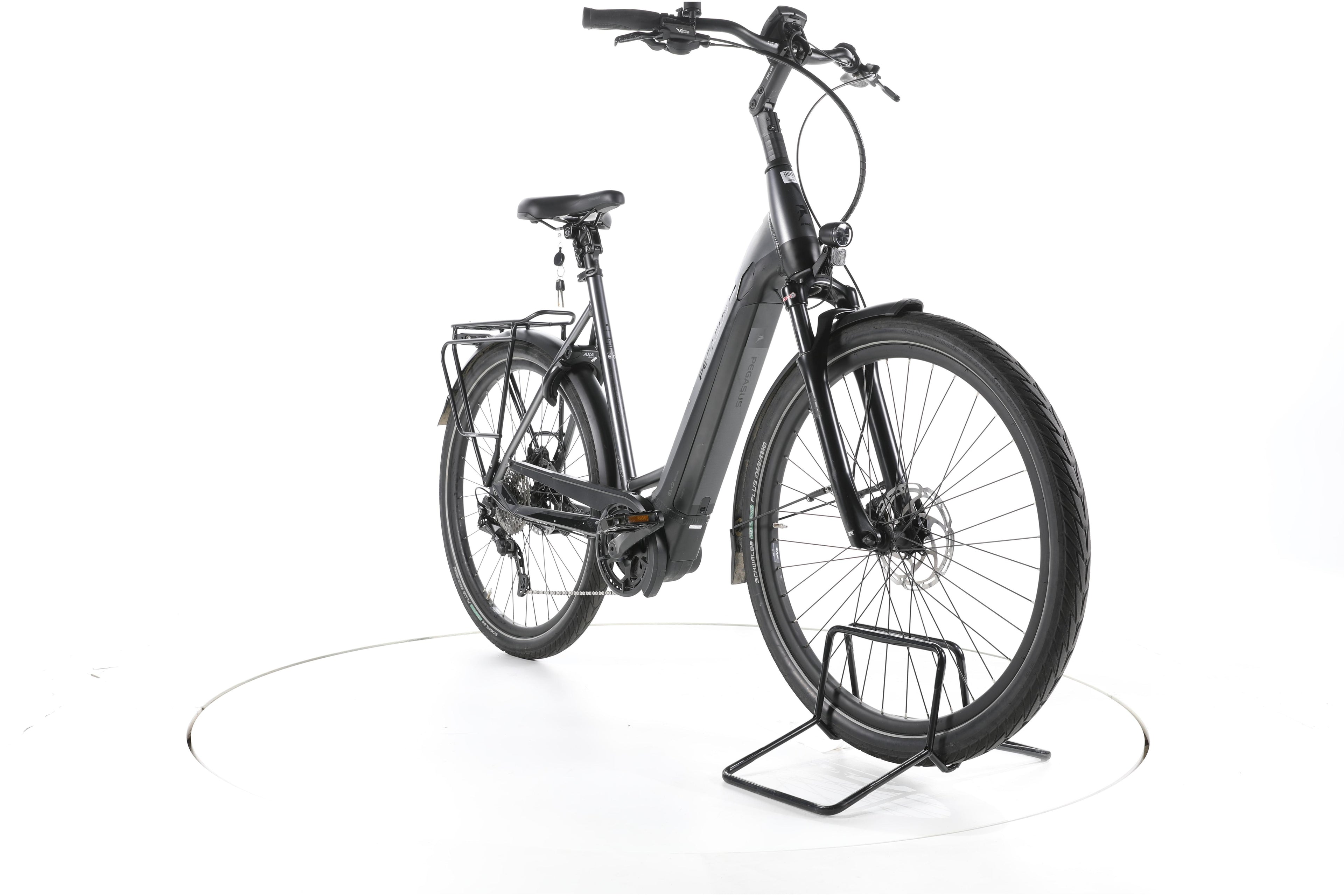 Pegasus Strong EVO 10 Trekking E-Bike Tiefeinsteiger - Image 3