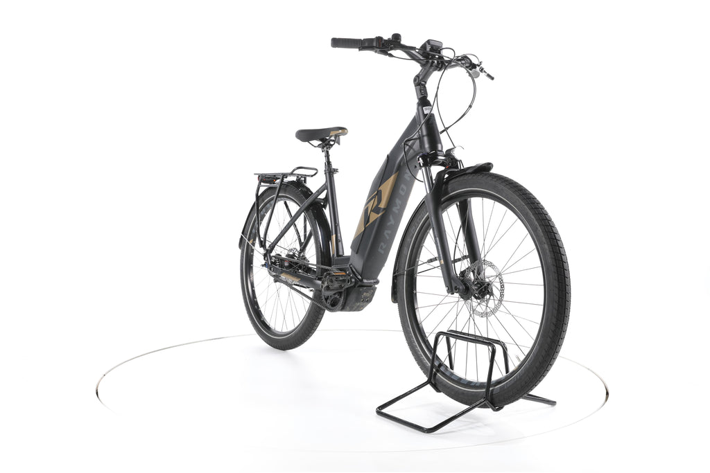 R Raymon UrbanRay E 8.0 City E-Bike Tiefeinsteiger - Image 3