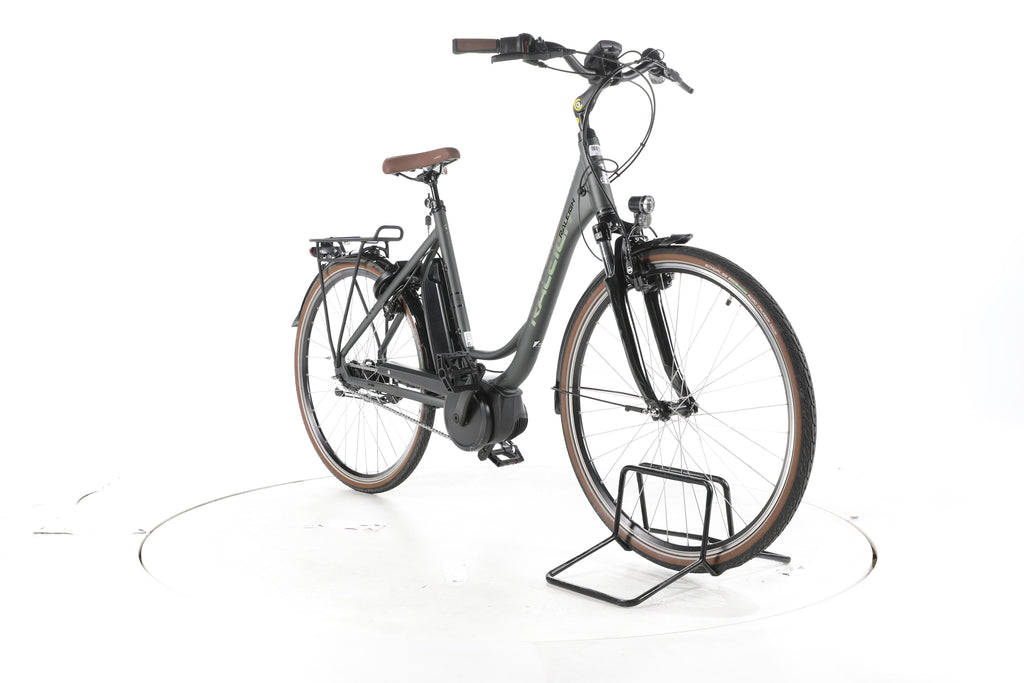 Raleigh Cardiff LB Plus City E-Bike Tiefeinsteiger - Image 3