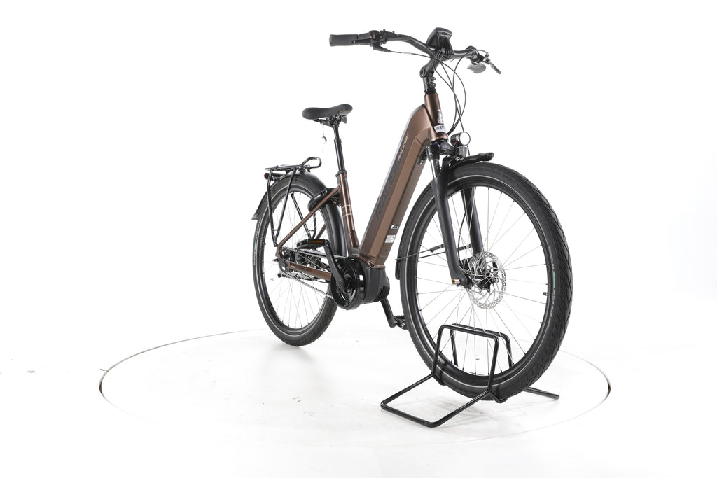 Raleigh Bristol XXL City E-Bike Tiefeinsteiger - Image 3