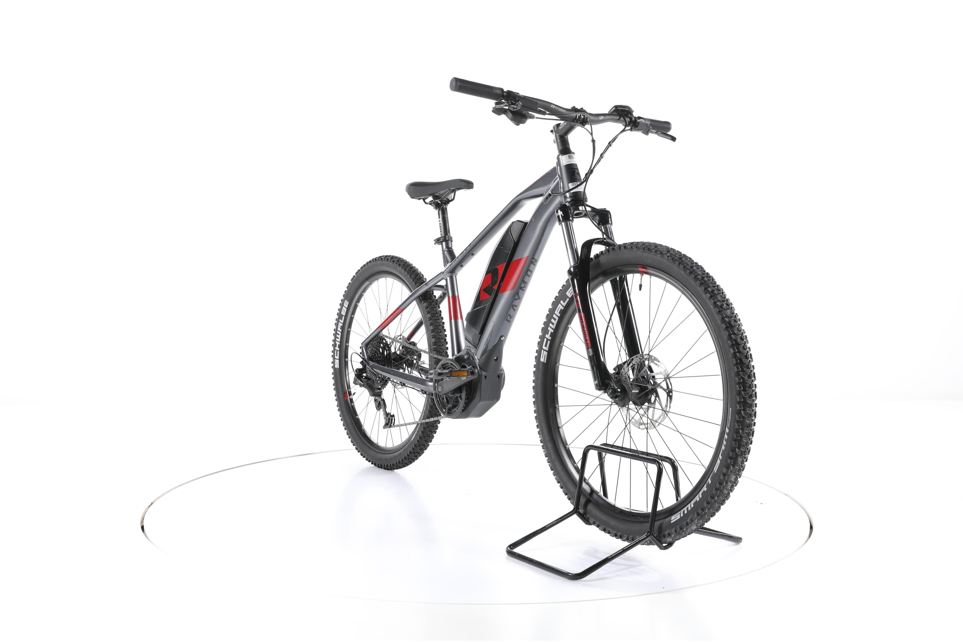 R Raymon HardRay E 3.0 E-Bike - Image 3