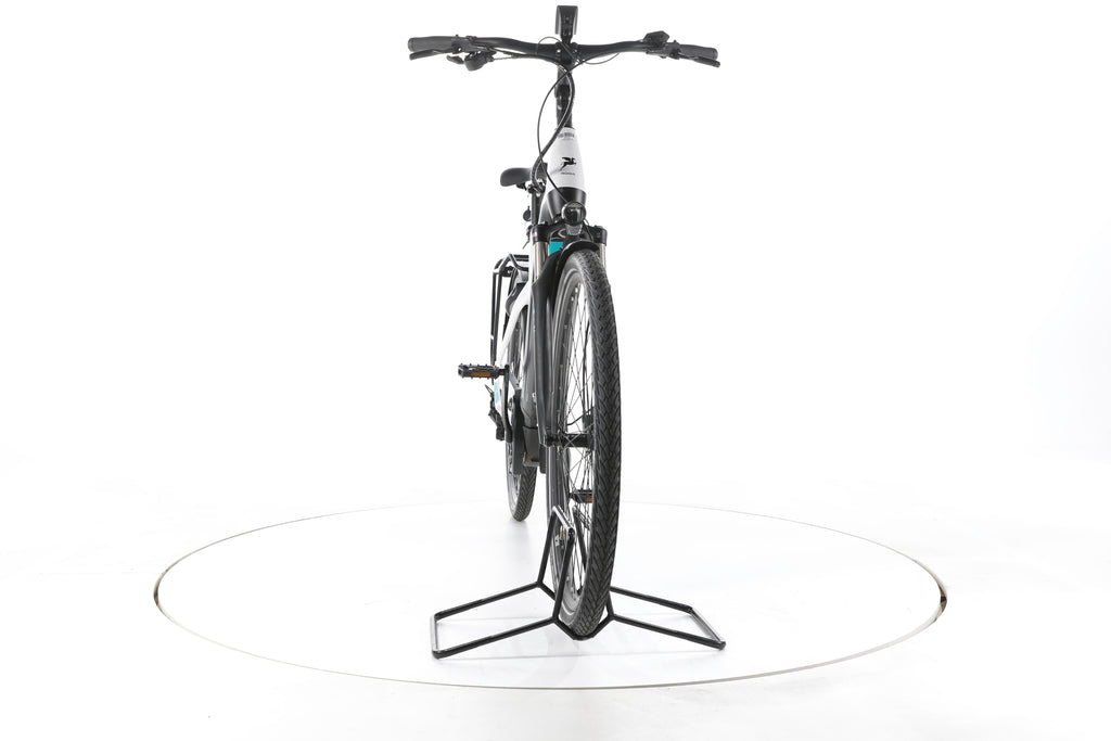 Pegasus Premio EVO 10 Lite Trekking E-Bike Tiefeinsteiger - Image 4