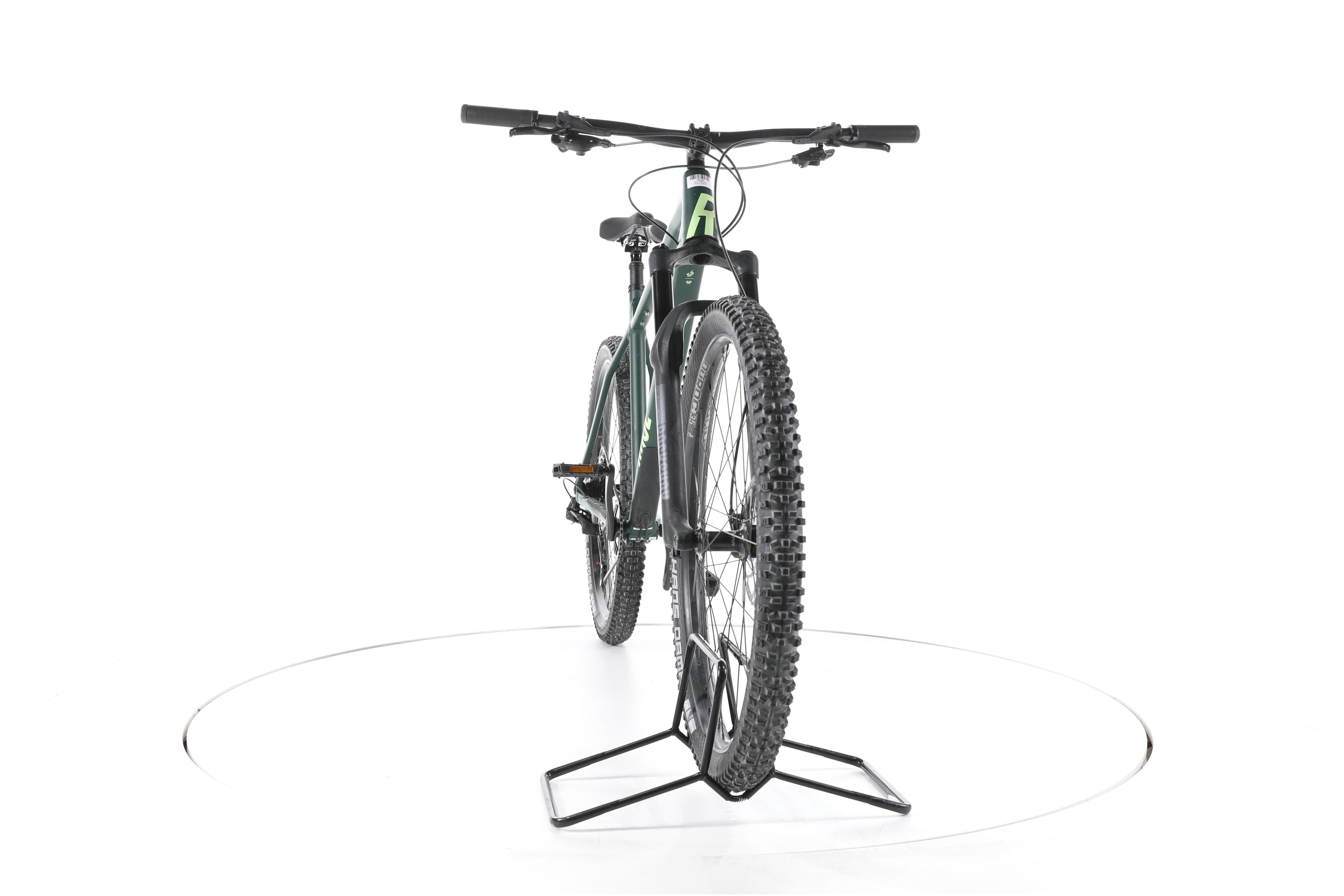 Rose Bonero 1 - Image 4