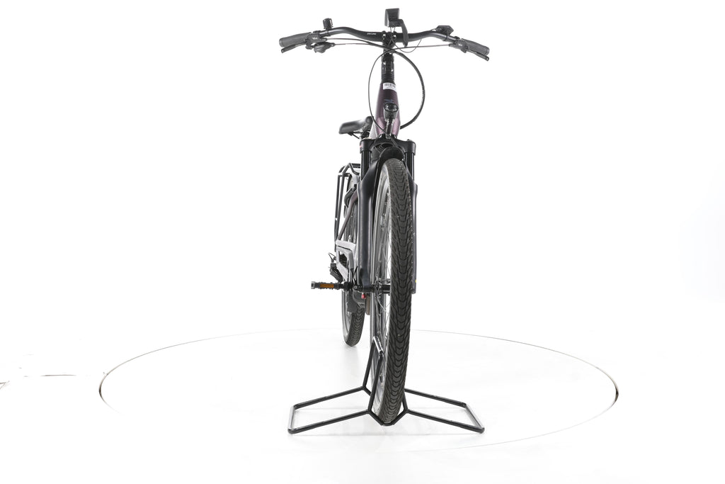 Pegasus Premio Evo 11"40 Years" Trekking E-Bike Tiefeinsteiger - Image 4