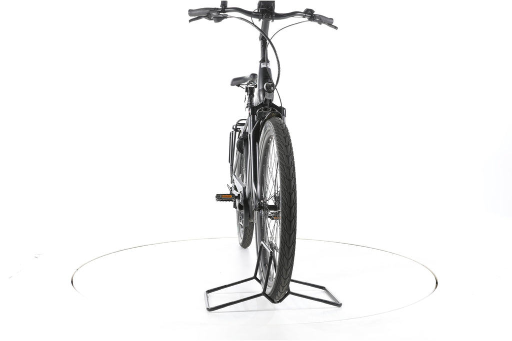 Pegasus Strong EVO 10 Trekking E-Bike Tiefeinsteiger - Image 4