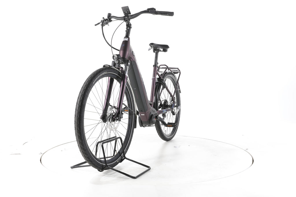 Pegasus Solero EVO 9 Trekking E-Bike Tiefeinsteiger - Image 5