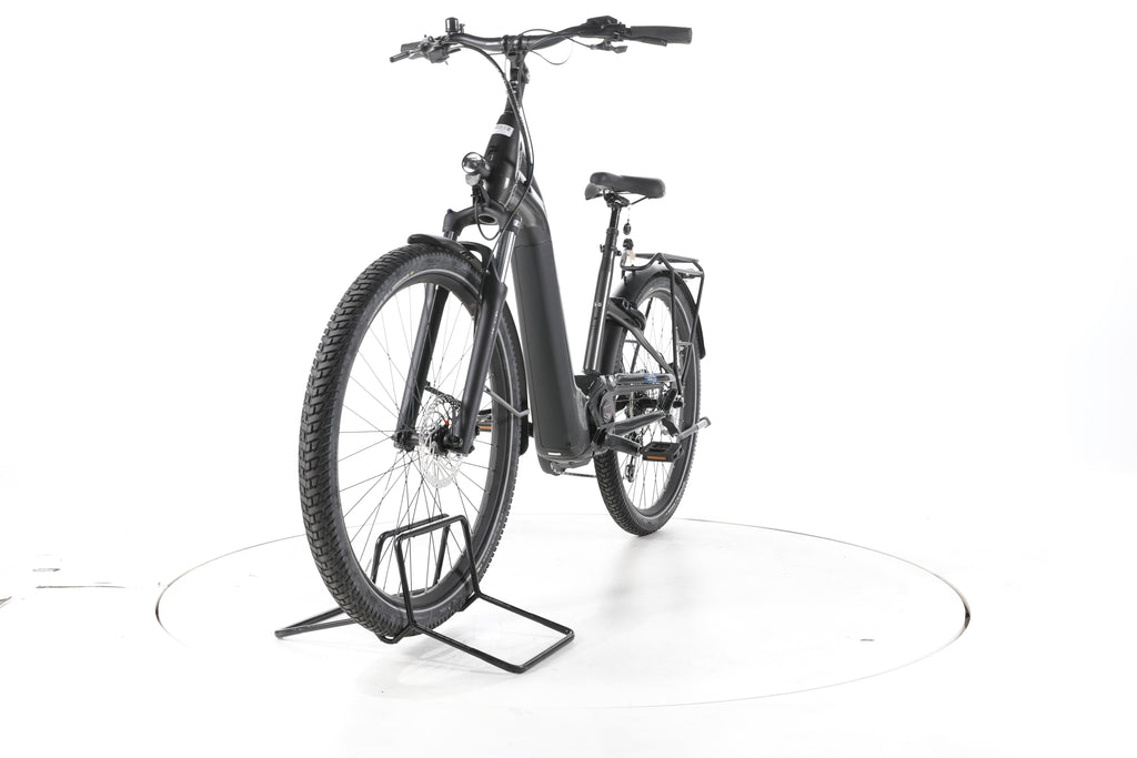 Pegasus Savino Evo 10D Trekking E-Bike Tiefeinsteiger - Image 5