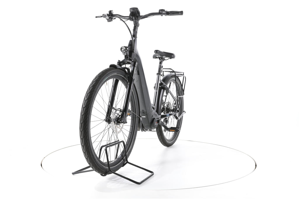 Pegasus Strong Evo 10 Trekking E-Bike Tiefeinsteiger - Image 5