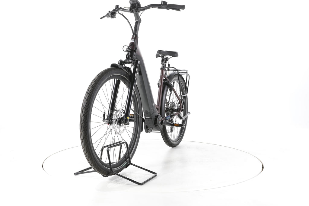 Pegasus Strong EVO 10 Lite Trekking E-Bike Tiefeinsteiger - Image 5