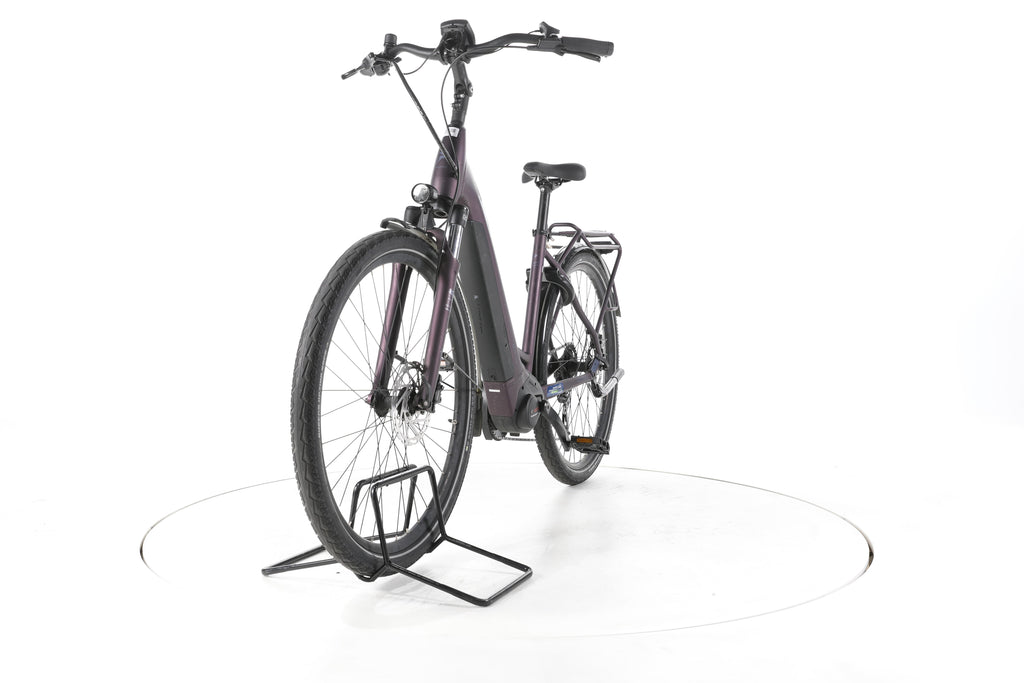 Pegasus Solero EVO 9 Trekking E-Bike Tiefeinsteiger - Image 5