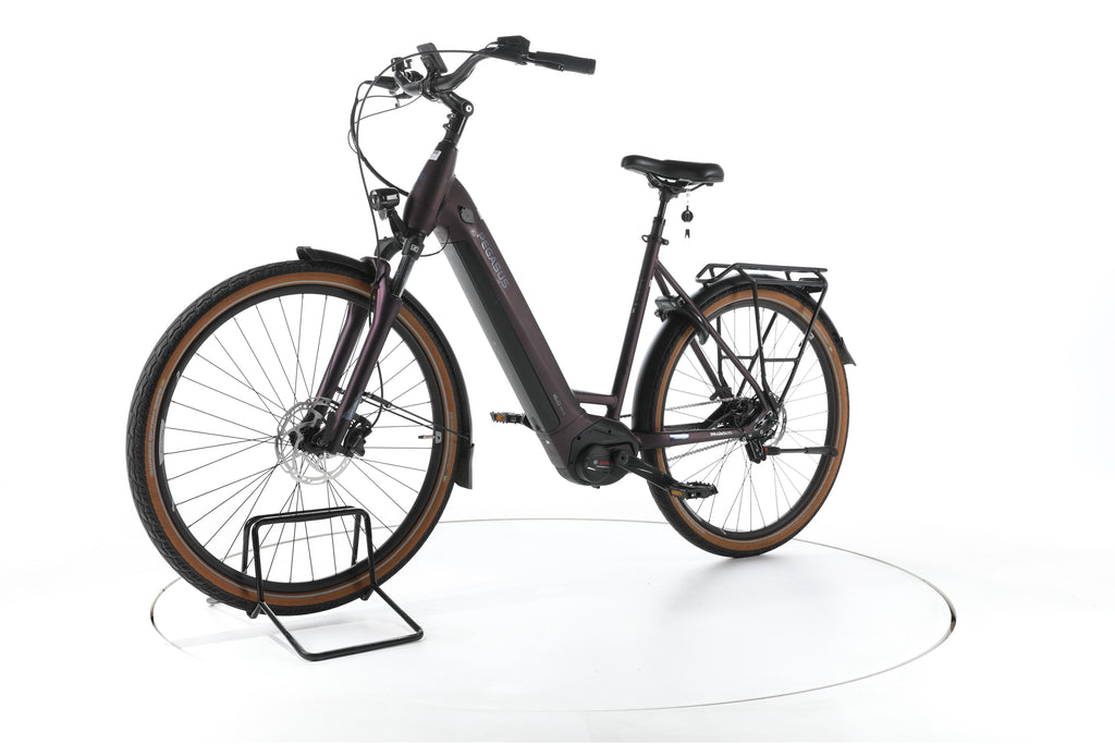 Pegasus Premio EVO 5R City E-Bike Tiefeinsteiger 2023 - Image 6