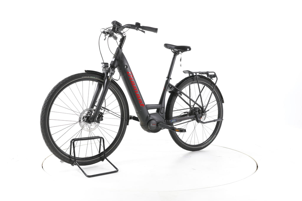 Diamant Beryll Esprit+ City E-Bike Tiefeinsteiger - Image 6