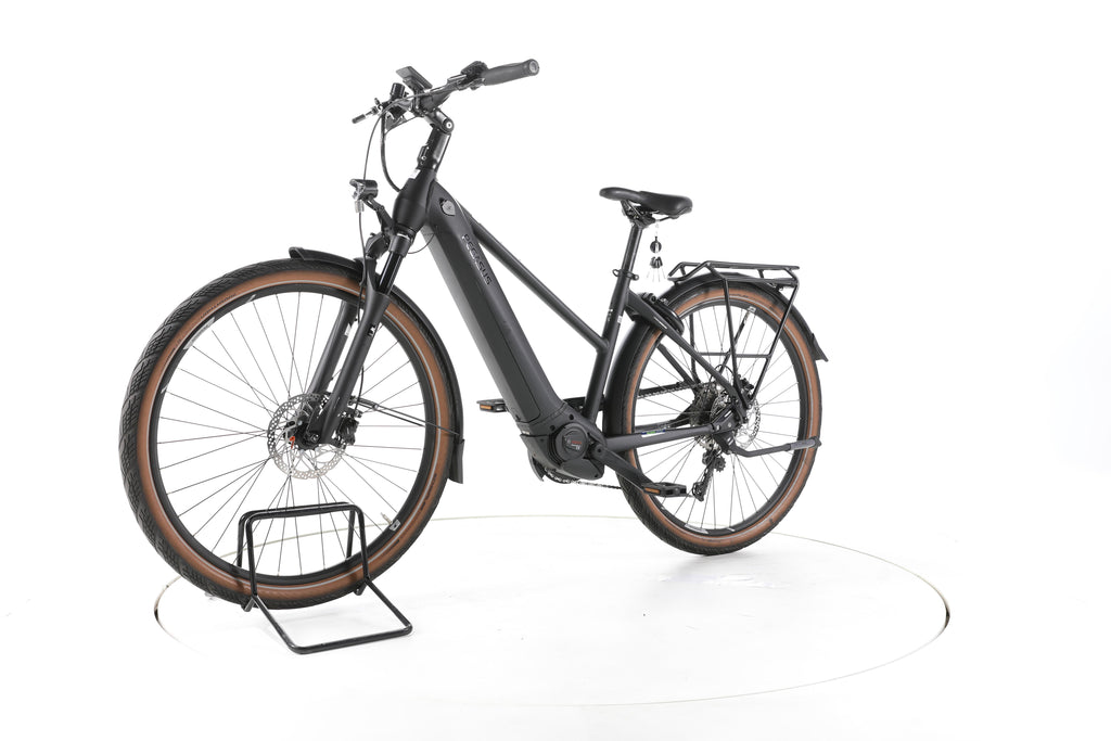Pegasus Premio EVO 10 Lite Trekking E-Bike 2024 - Image 6