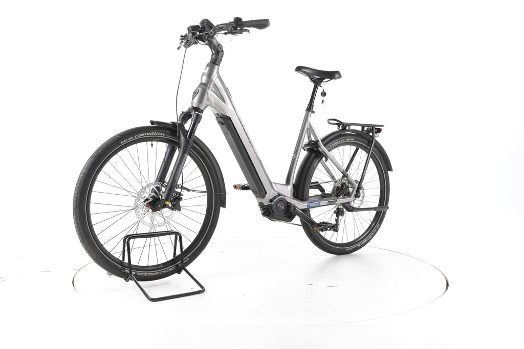 Centurion E-Fire City R960i Plus Trekking E-Bike Tiefeinsteiger - Image 6