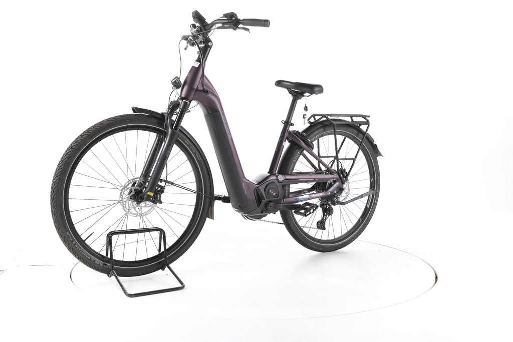 Pegasus Premio Evo 11"40 Years" Trekking E-Bike Tiefeinsteiger - Image 6