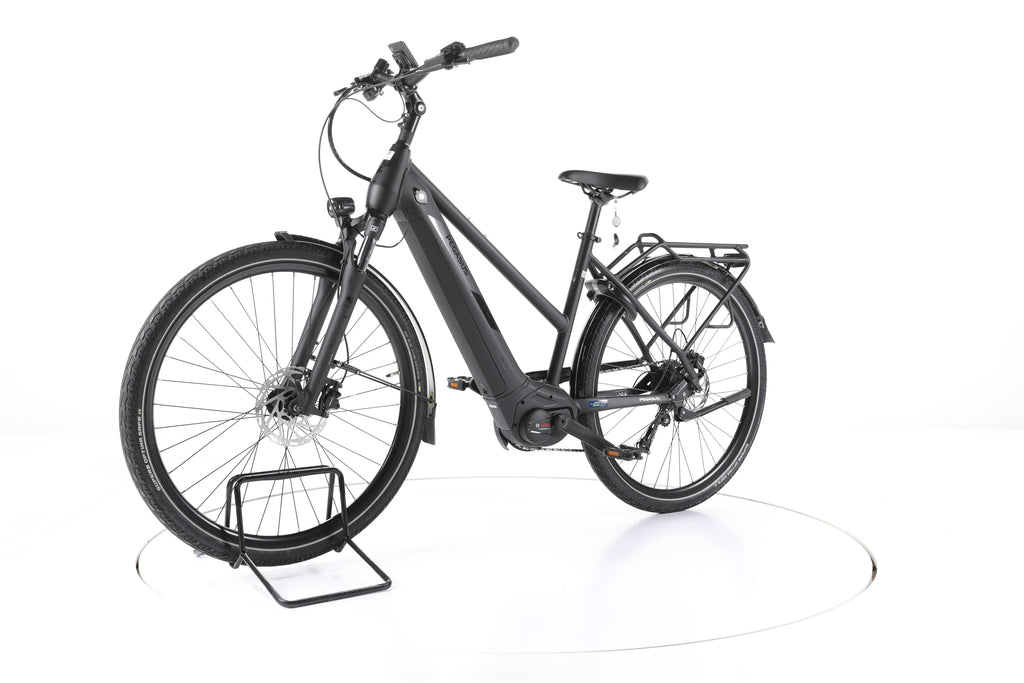 Pegasus Solero Evo 9 Trap. Trekking E-Bike - Image 6