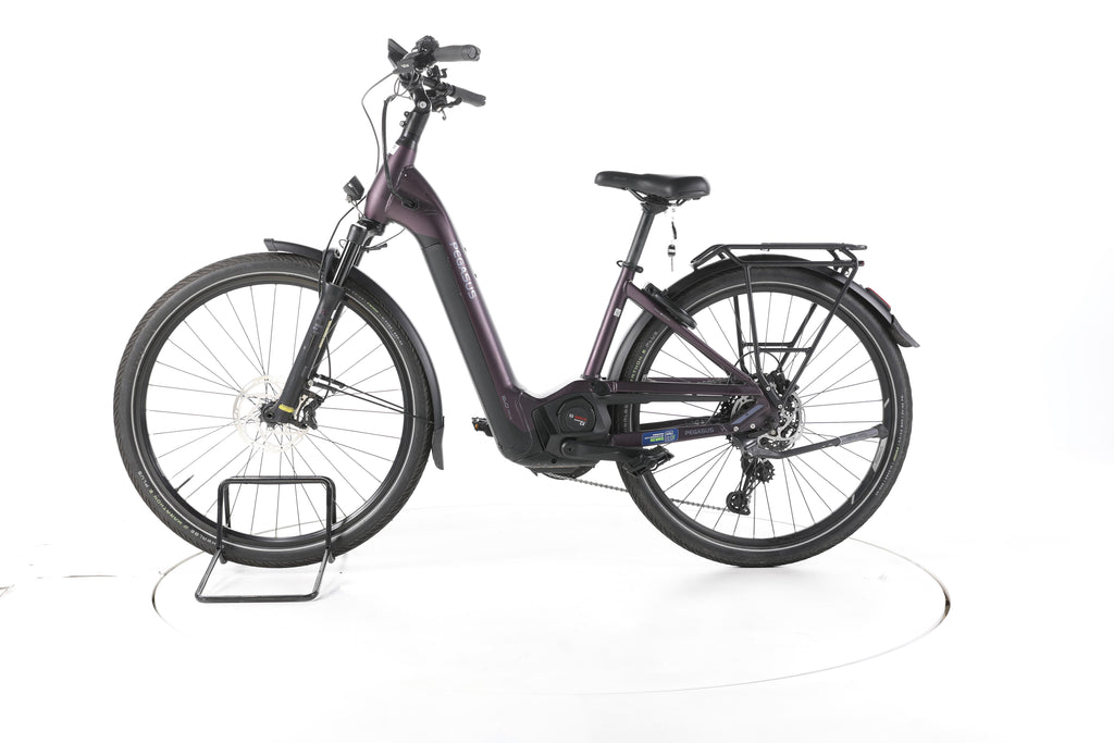 Pegasus Premio Evo 11"40 Years" Trekking E-Bike Tiefeinsteiger - Image 7