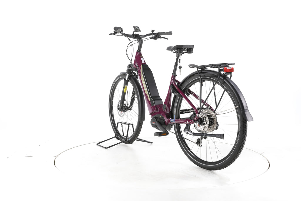Victoria Tresalo 6 Trekking E-Bike Tiefeinsteiger - Image 9